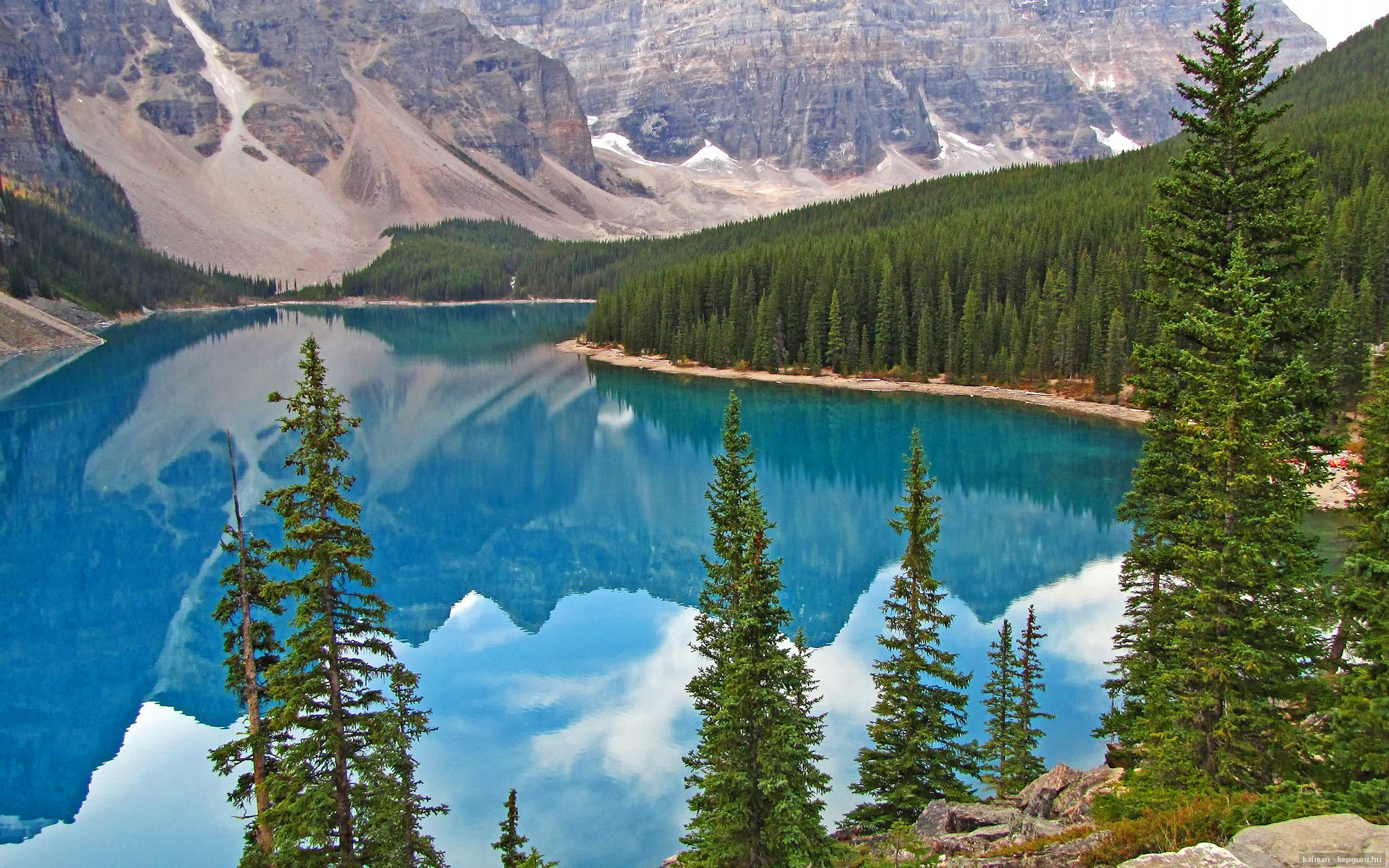 开云·Kaiyun网页版-“国王队青年才俊崛起，未来可期”，国王队百科