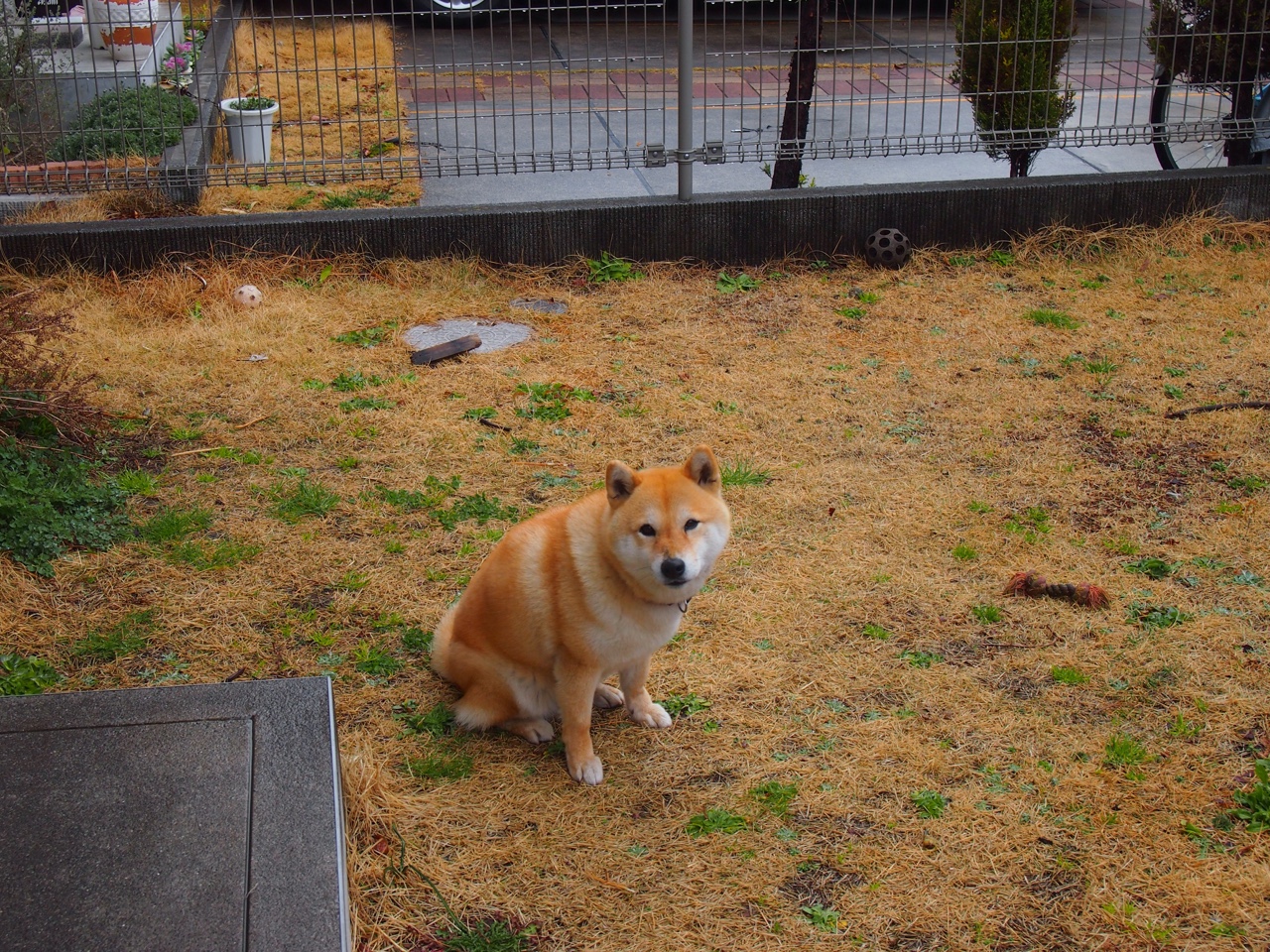 开云入口-全国青少年“篮球先锋”系列公益活动在西安持续进行，惠及边远地区